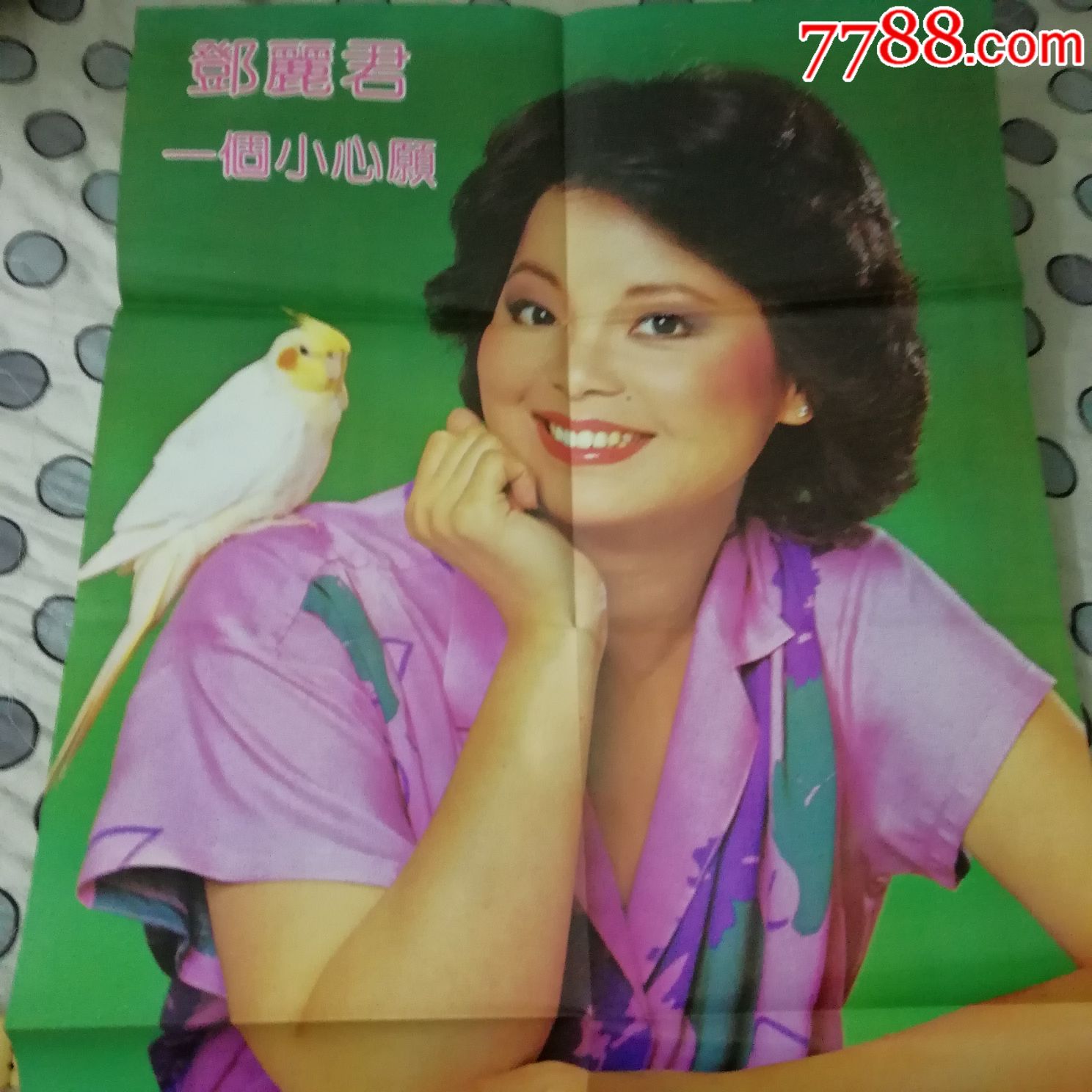 邓丽君一个小心愿黑胶唱片