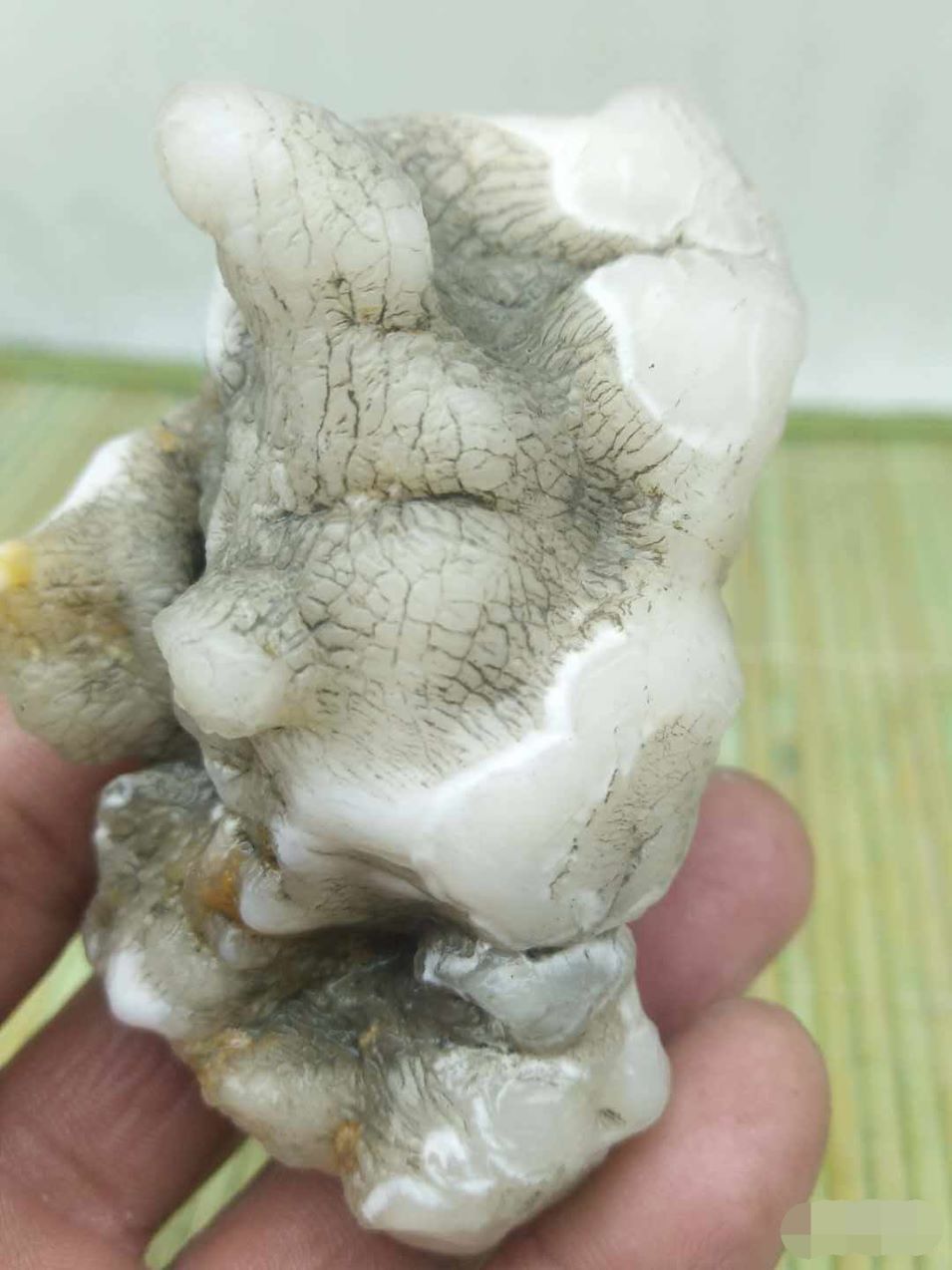 170克新疆蛋白玉