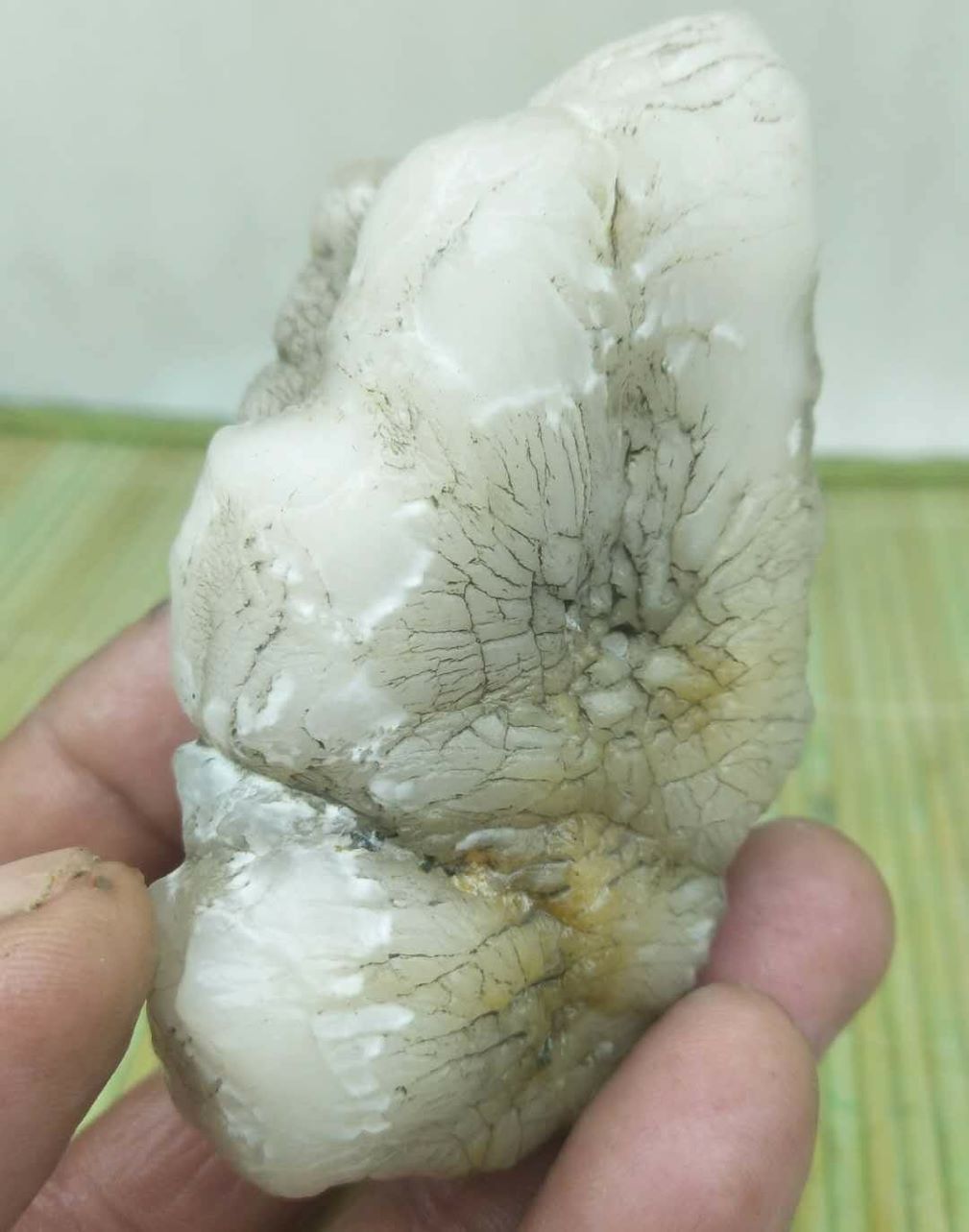 170克新疆蛋白玉