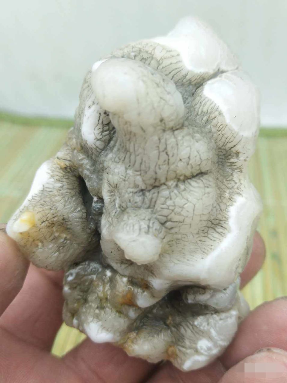 170克新疆蛋白玉