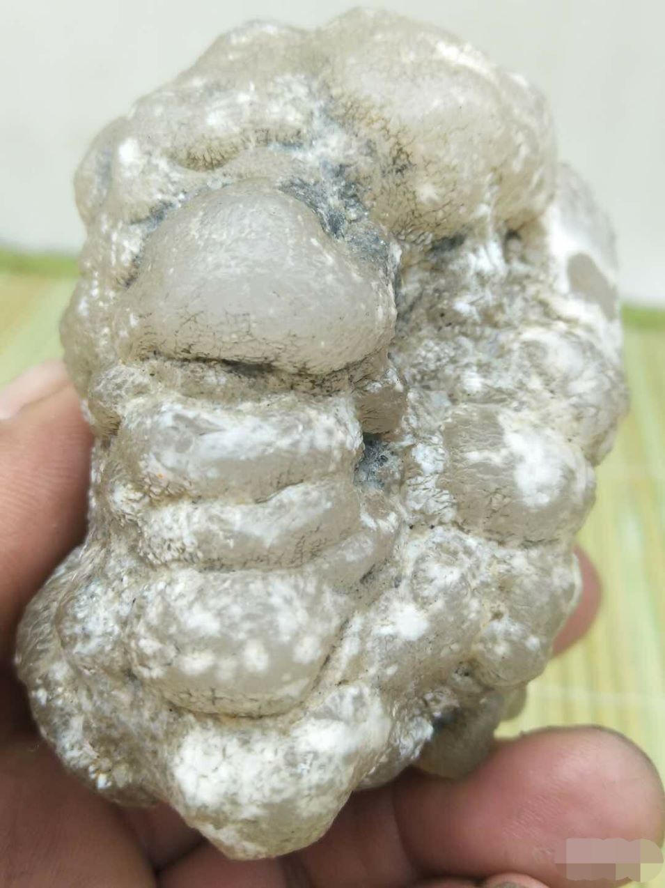 282克新疆蛋白玉.