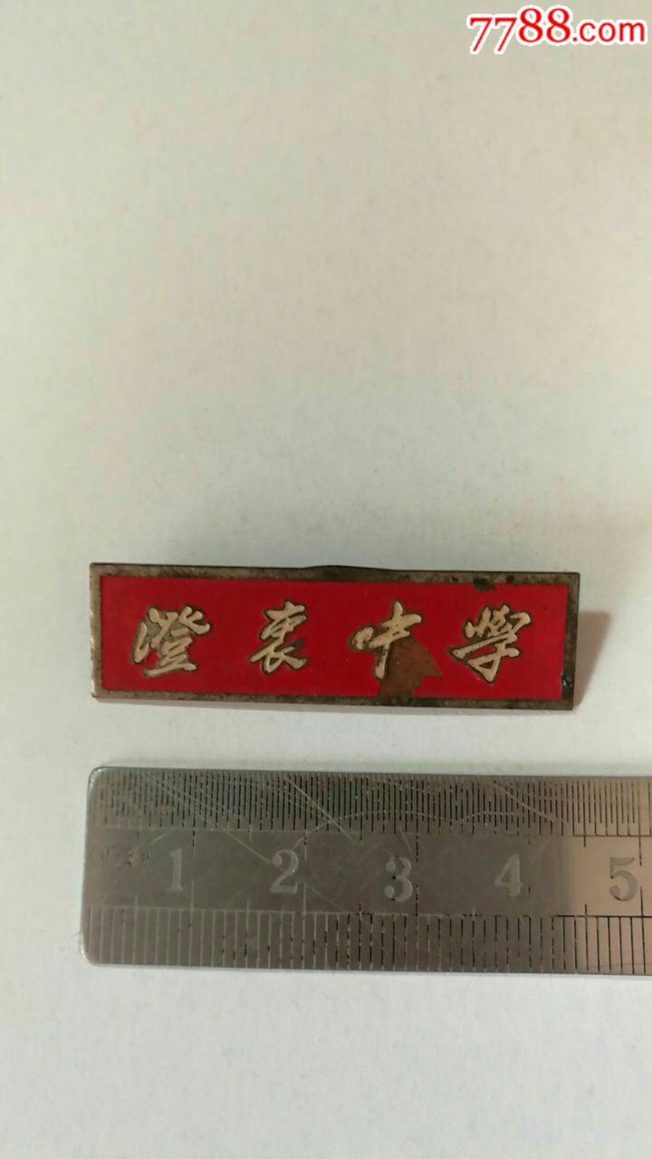 上海澄衷中学校徽一枚
