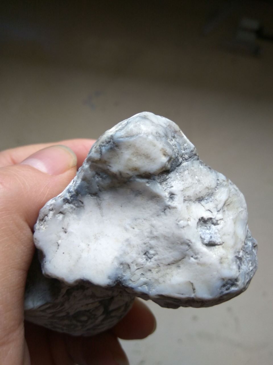 超值新疆蛋白玉_价格78.0000元_第7张_7788收藏__收藏热线