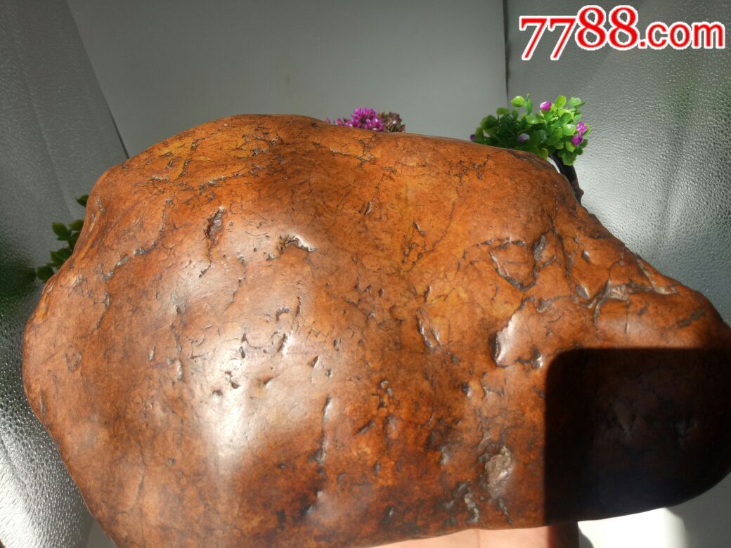 月亮黄伊盯陨石(金玉满堂)-陨石-7788收藏