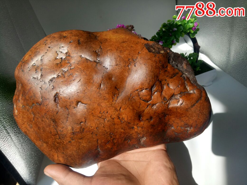 月亮黄伊盯陨石金玉满堂