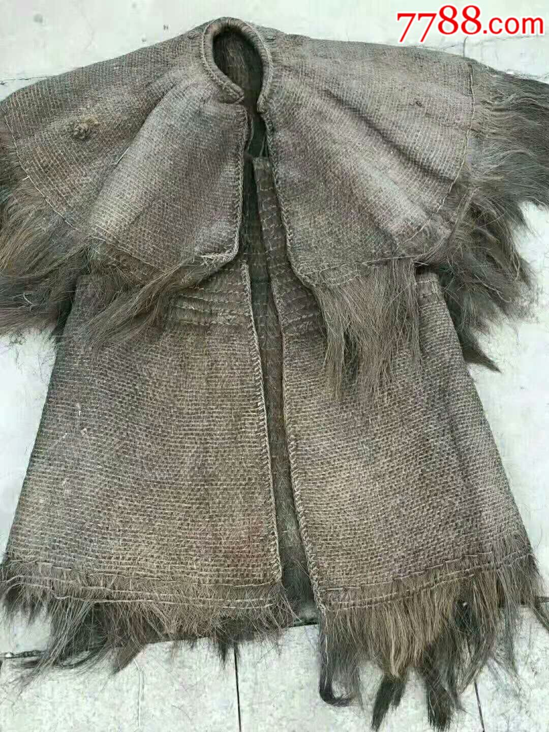 老蓑衣