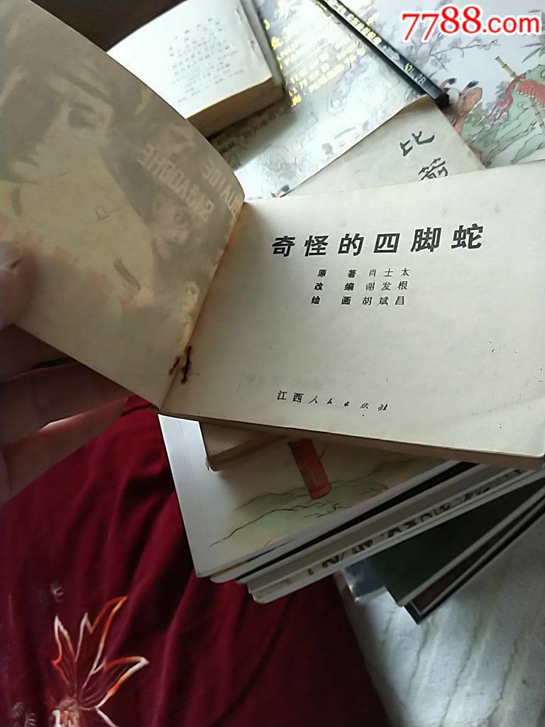 奇怪的四脚蛇