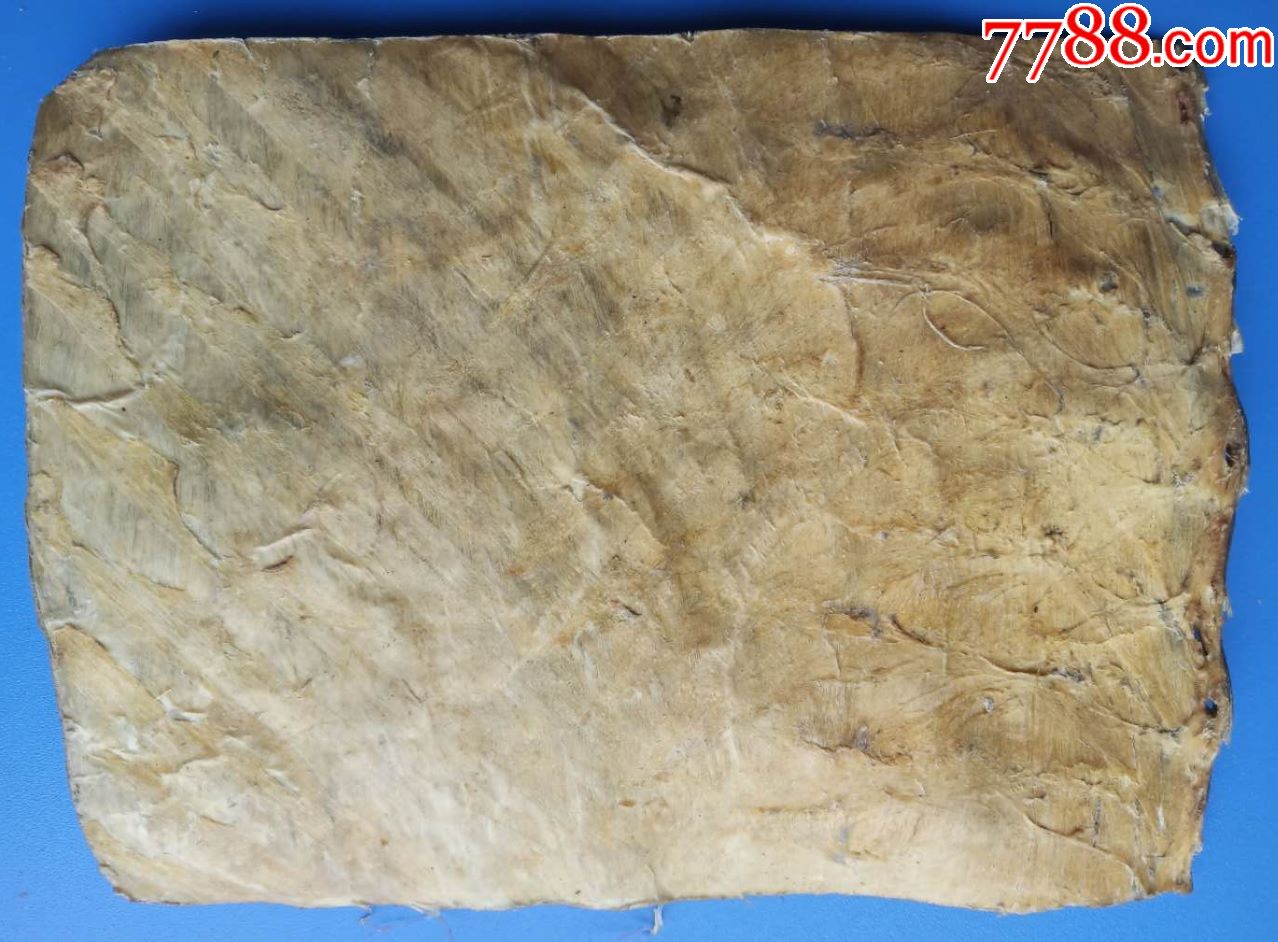 做乐器的老蛇皮