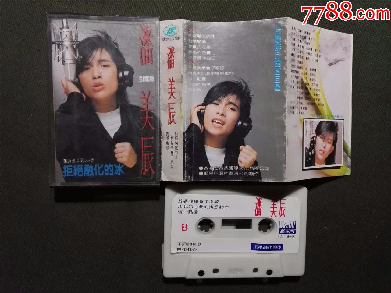 潘美辰,拒绝融化的冰,引进版