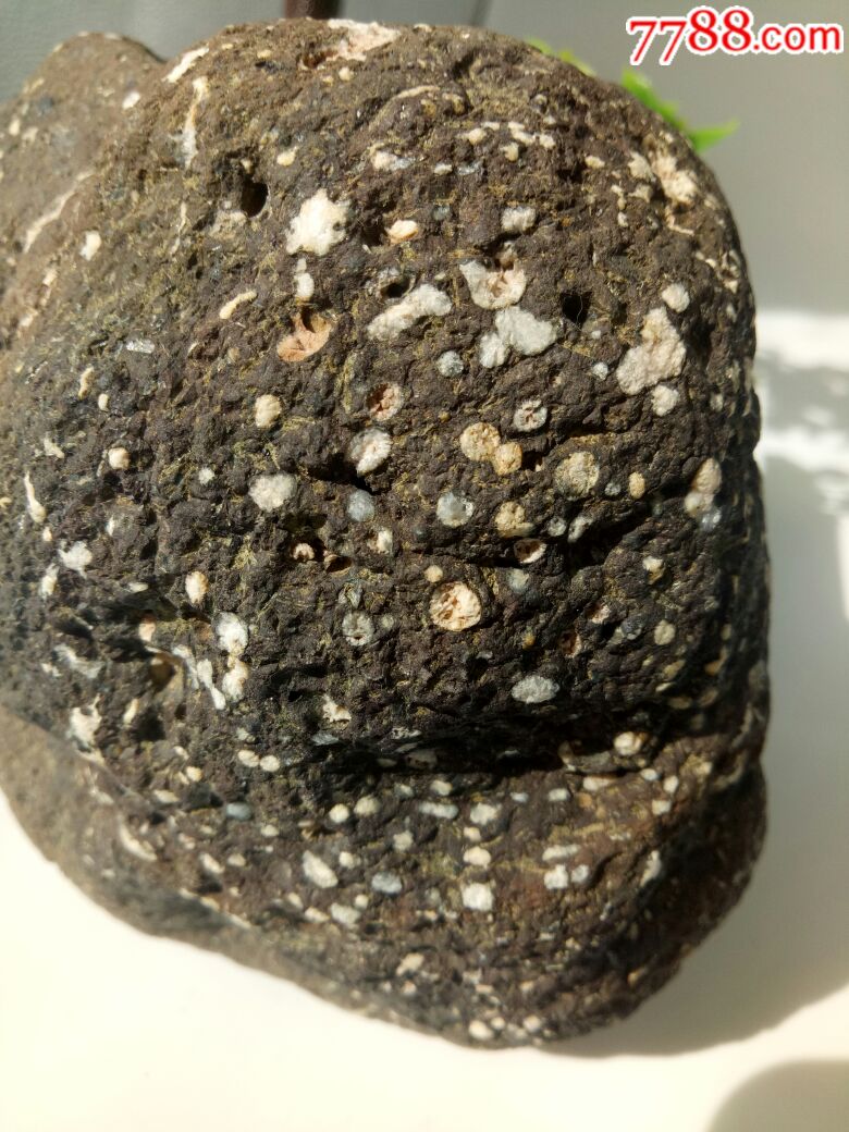 球粒陨石(弱磁)-陨石-7788收藏