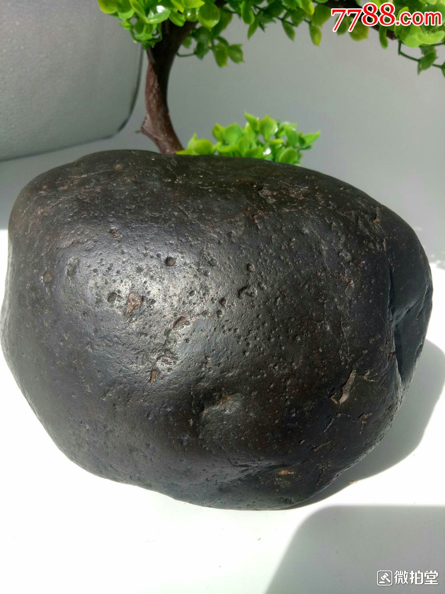 石铁陨石(强磁)_价格49.0000元_第4张_7788收藏__中国收藏热线