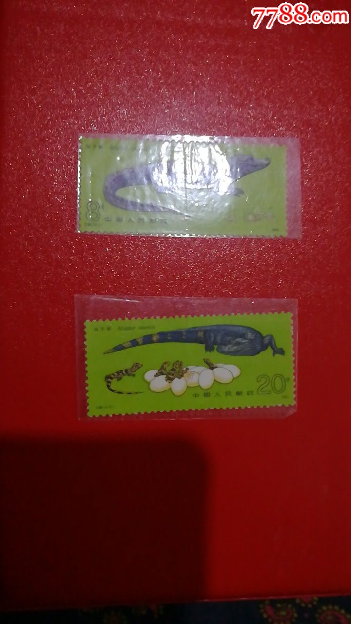 t85扬子鳄_新中国邮票_第1张_7788集邮网