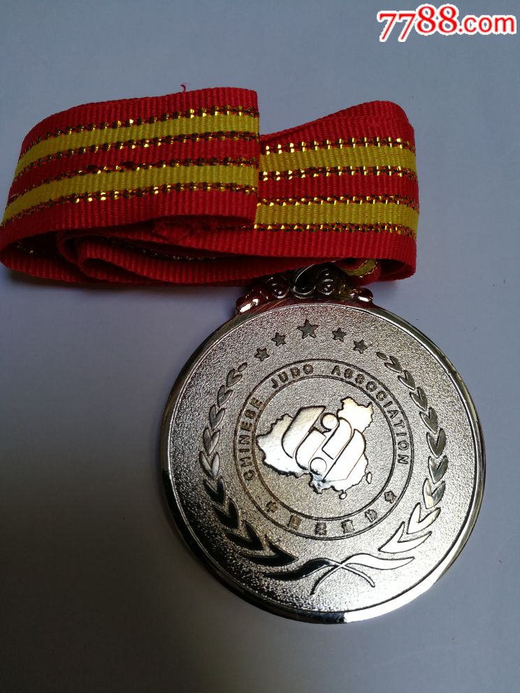 2017年全国柔道竞赛银牌