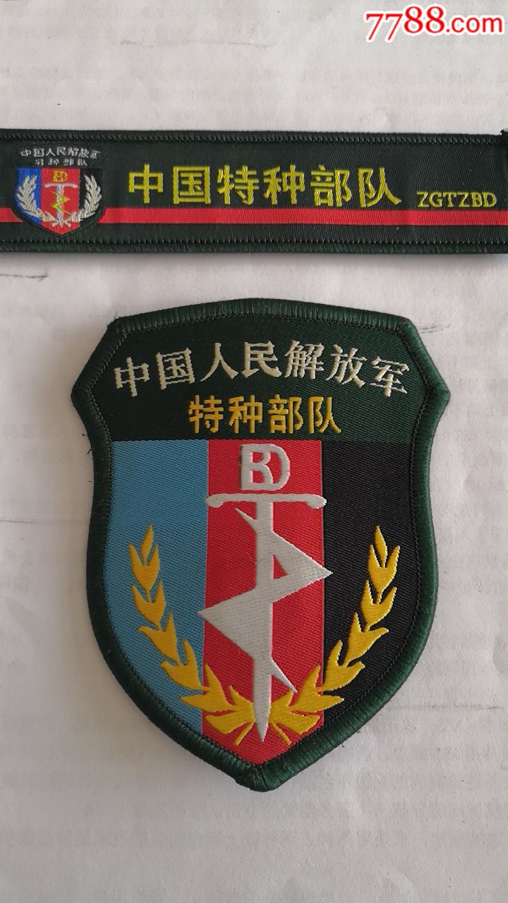 陆军特种作战学院臂章图片