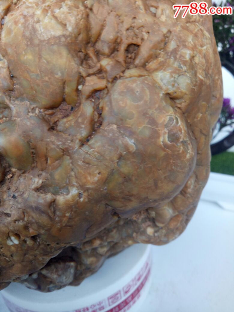 月亮玉化陨石(金佛)