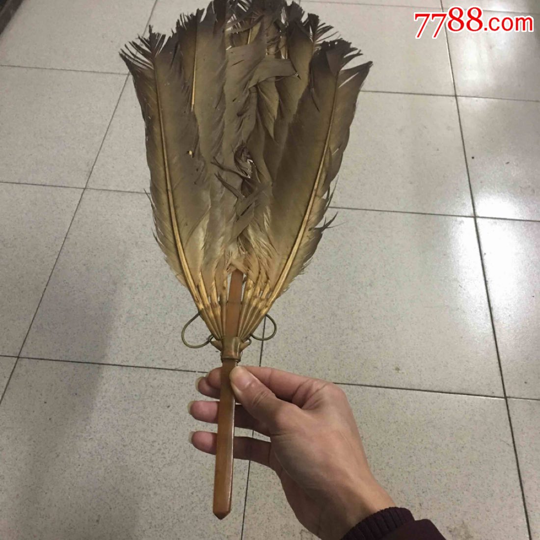 清角质广州保号鹅毛扇