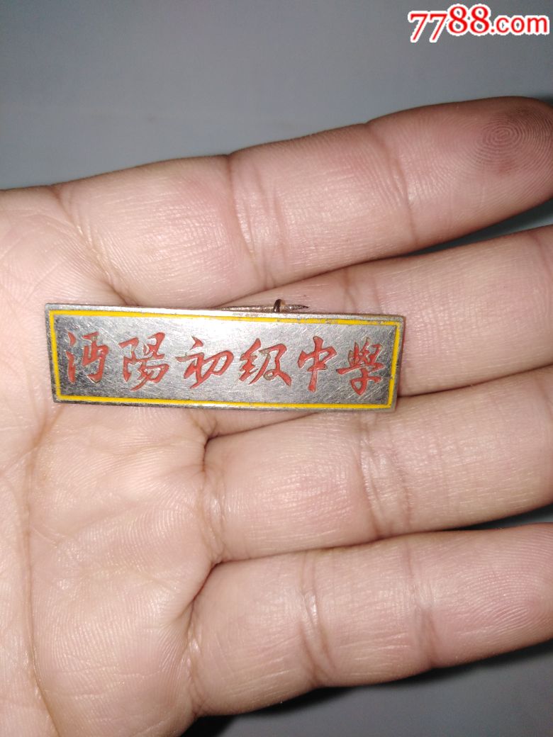 学校徽章校徽,沔阳初级中学