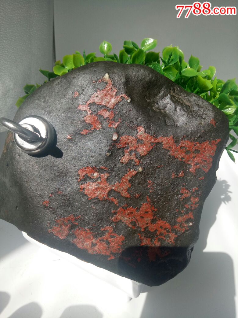 火星玉化陨石(血梅花)(弱磁