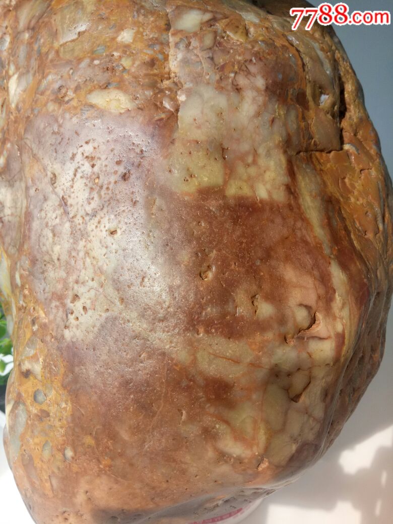 月亮玉化角砾五彩陨石(金雕)