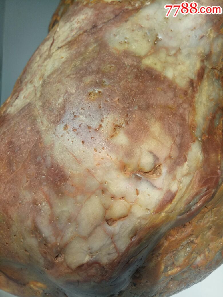 月亮玉化角砾五彩陨石(金雕)