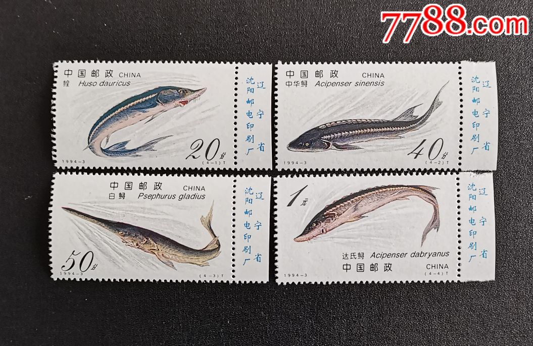 中华鲟邮票价值图片