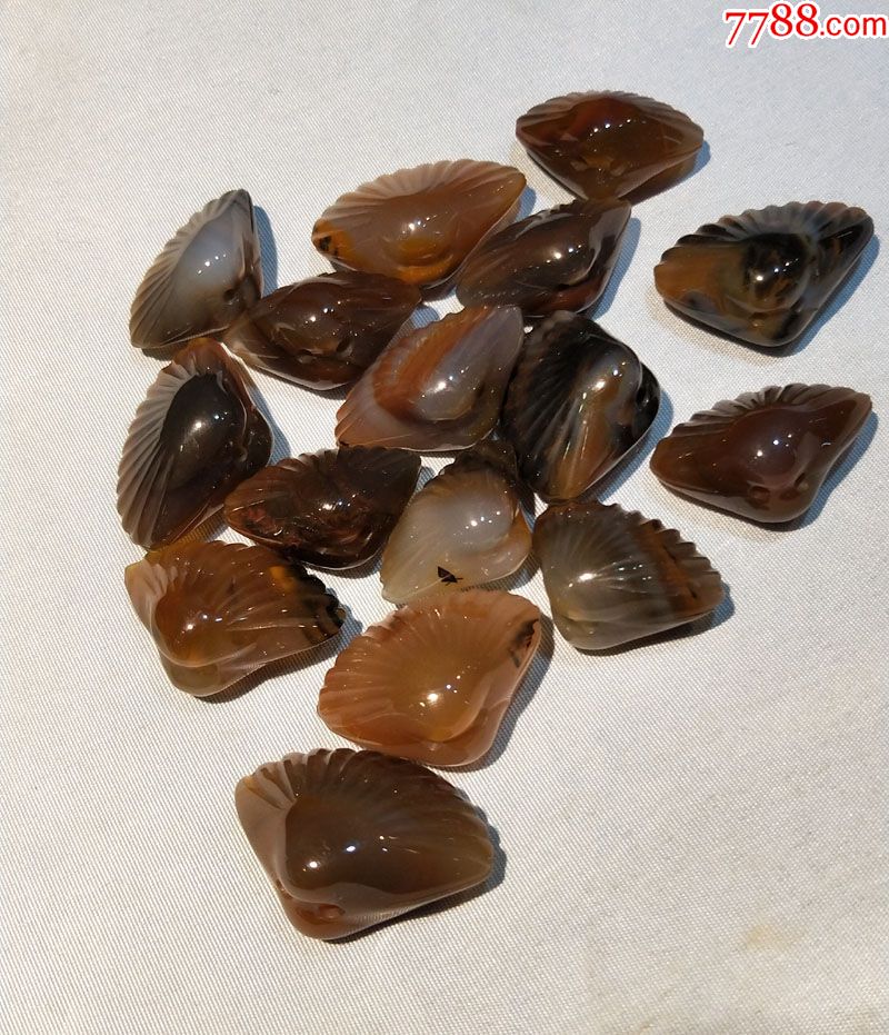 天然玛瑙贝壳一个300