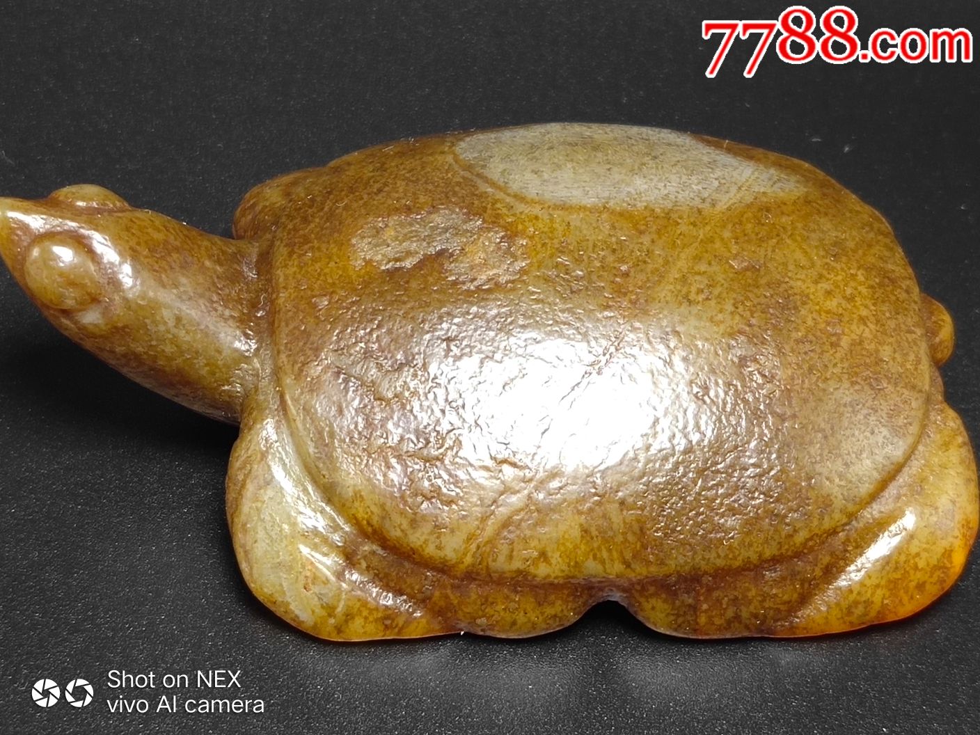 文化期高古玉红山文化玉龟