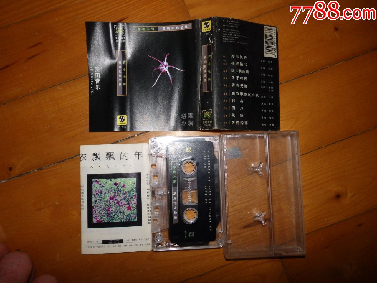 高晓松作品集:青春无悔