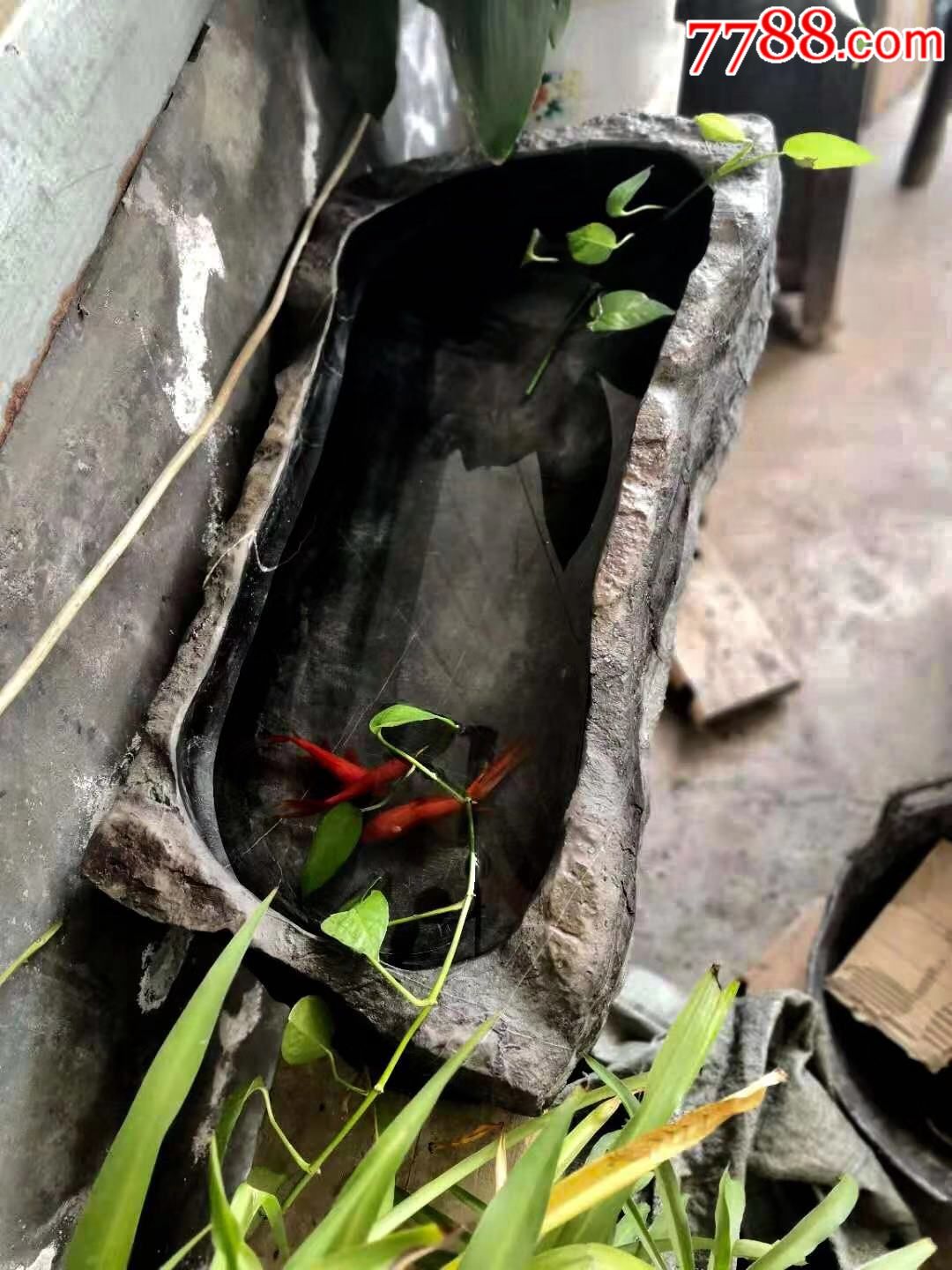 灵璧石养鱼盆造型自然养鱼佳品