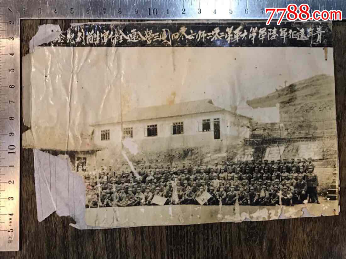 师六零四团三营八连全体官生留别纪念三十五年三月廿十一_老照片_六号