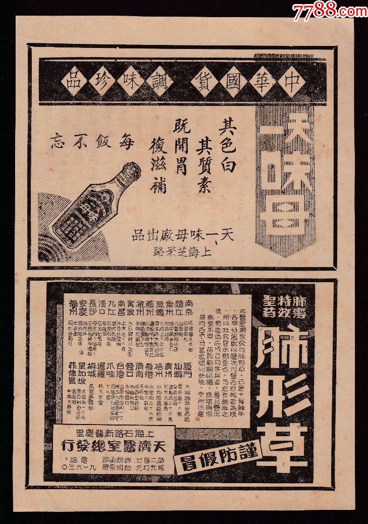 【民国天一味母/肺形草广告】