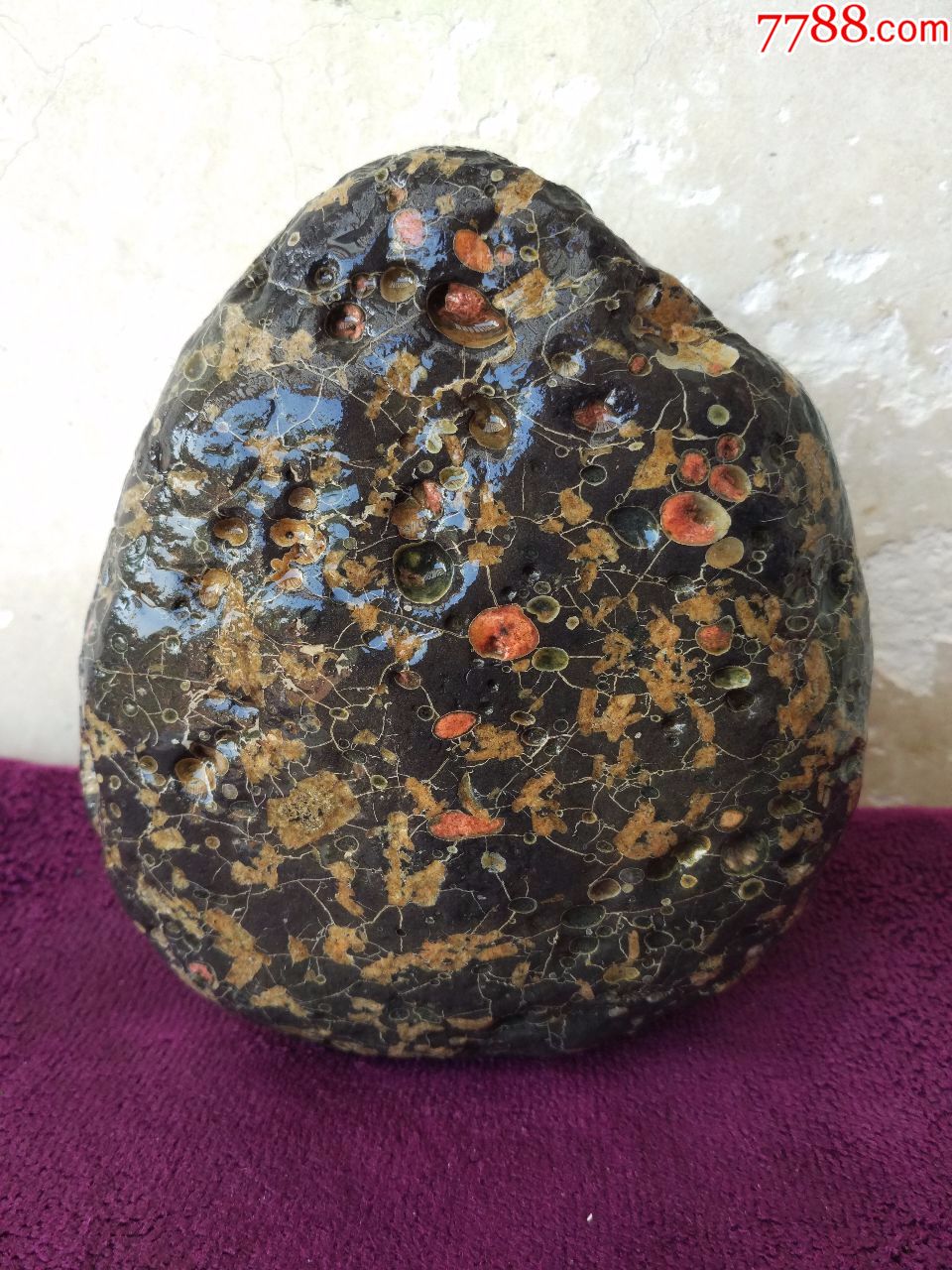 洛阳奇石755梅花玉原石"精品彩玉"(注:此石没有了,重庆朋友已定)