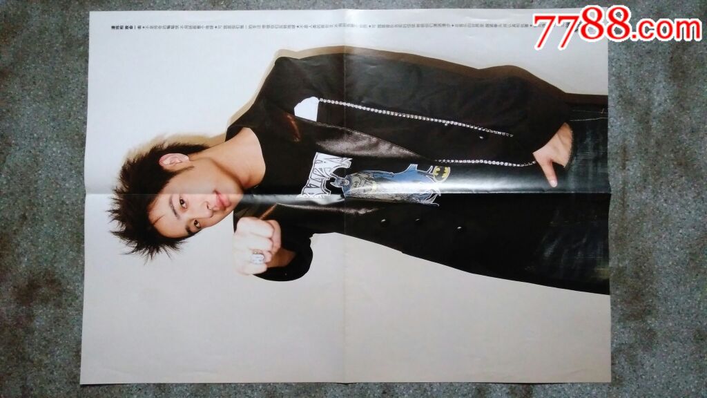 音乐海报潘玮柏周迅大嘴鳄鱼当代歌坛no3464开85品