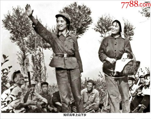 知识青年上山下乡