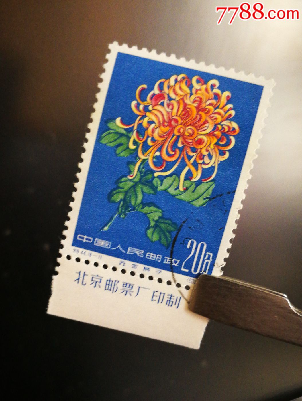 老纪特邮票特44菊花—11赤金狮子