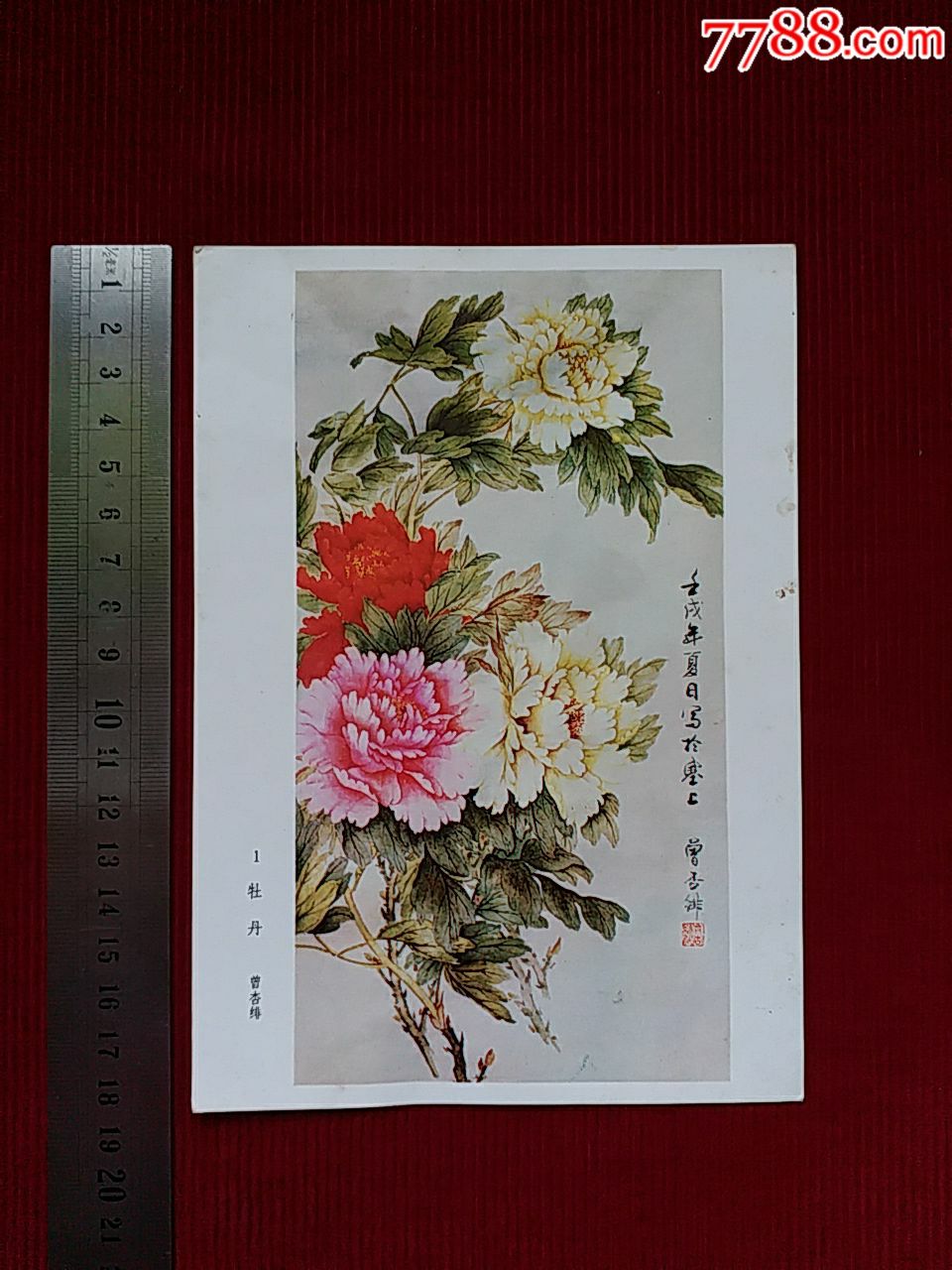 【牡丹-年画/宣传画-7788收藏__收藏热线