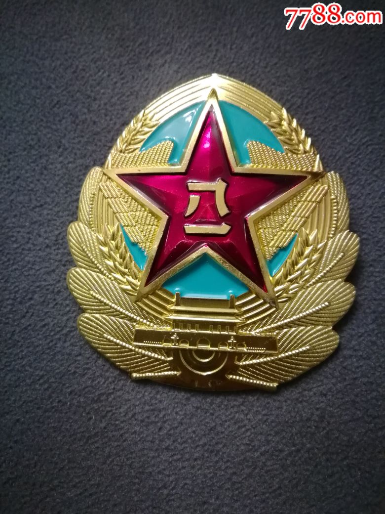 退役老帽徽一个