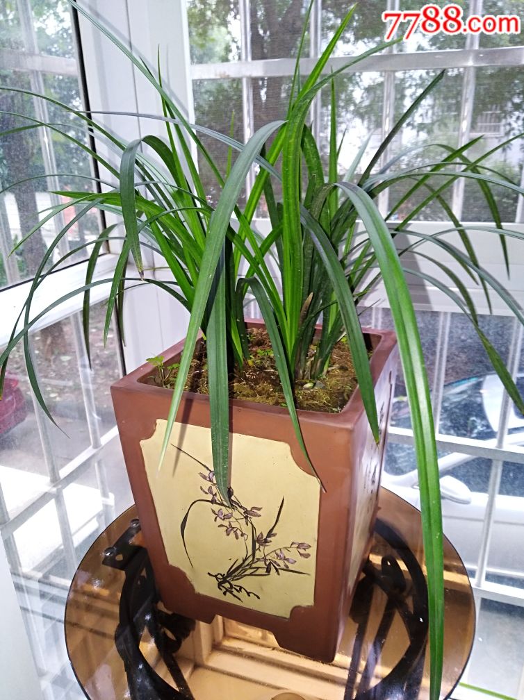 各人四面开窗四方兰盆_其他紫砂_鉴别图片_收藏价格_7788陶器收藏