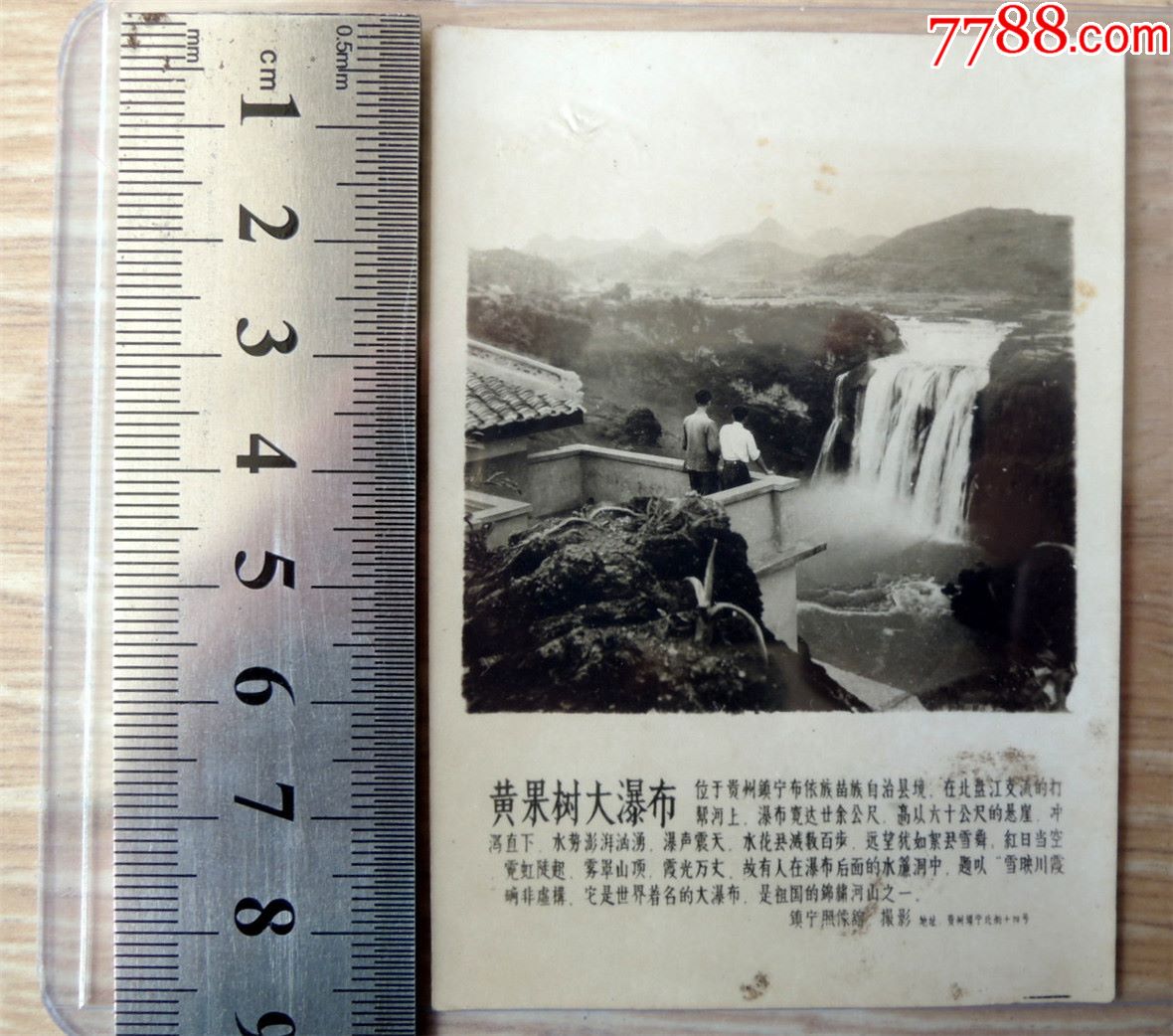 老照片收藏1901e150年代贵州带介绍风景照黄果树大瀑布