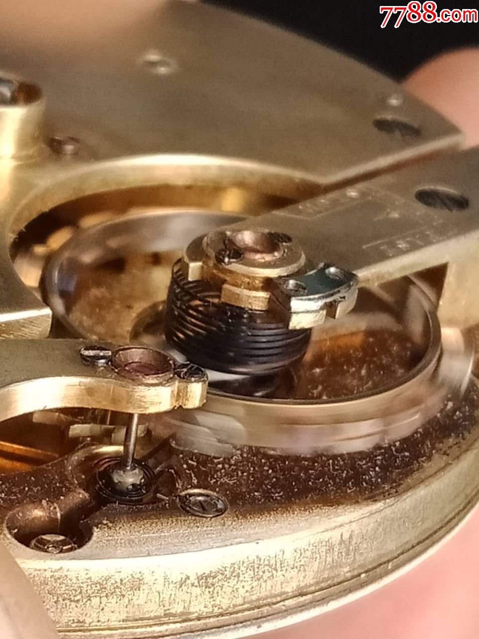 全网唯一!带芝麻链的天文台桶形游丝 冲击擒纵!