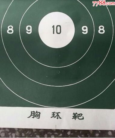 胸环靶10张