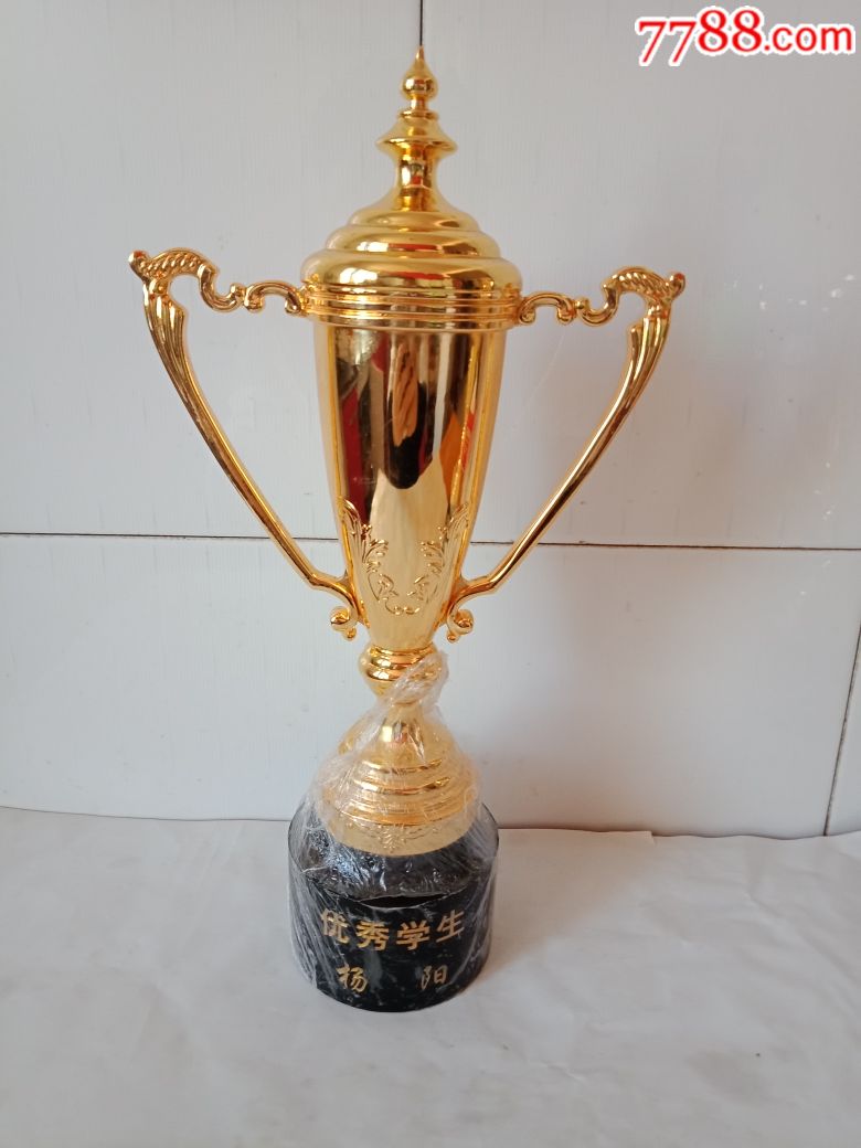 优秀学生奖杯