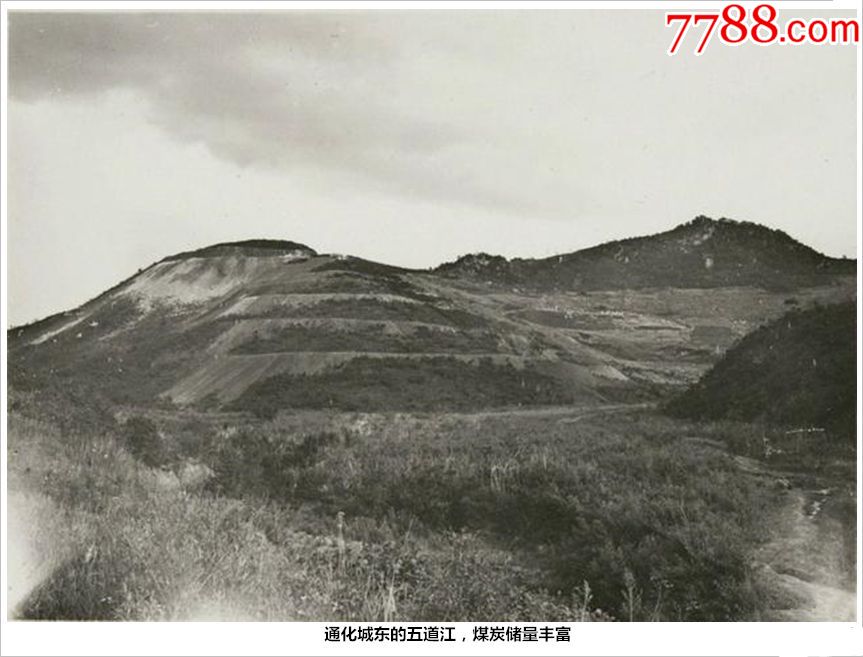 煤炭批发价格波动与市场走向分析