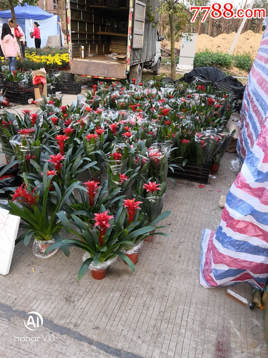 祝福各位新老客户:新年快乐身体健康