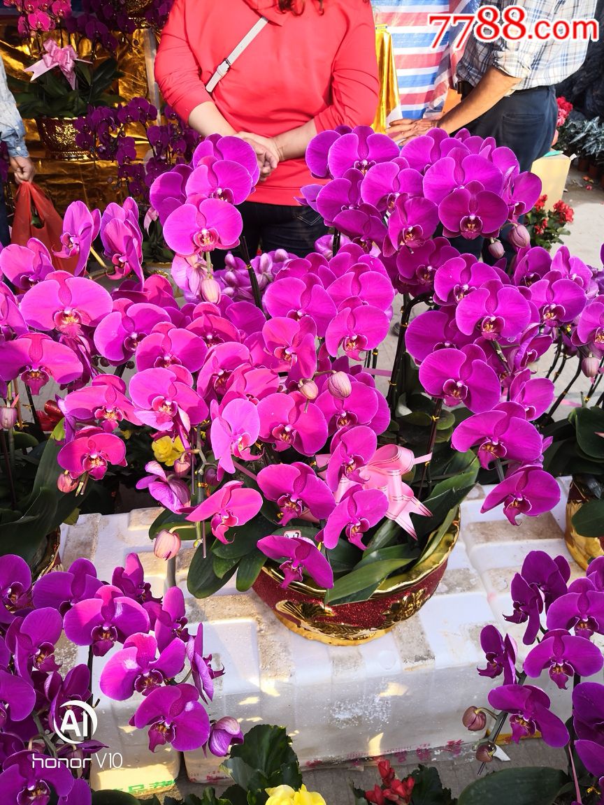 祝福各位新老客户:新年快乐身体健康