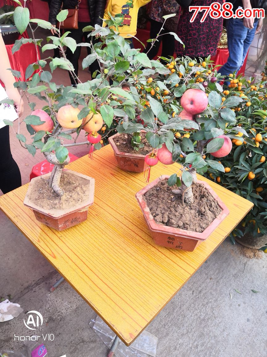 祝福各位新老客户:新年快乐身体健康