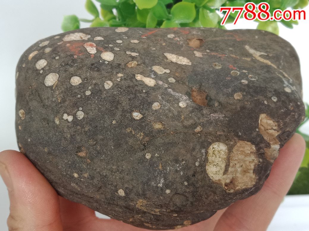 石英陨石(弱磁)