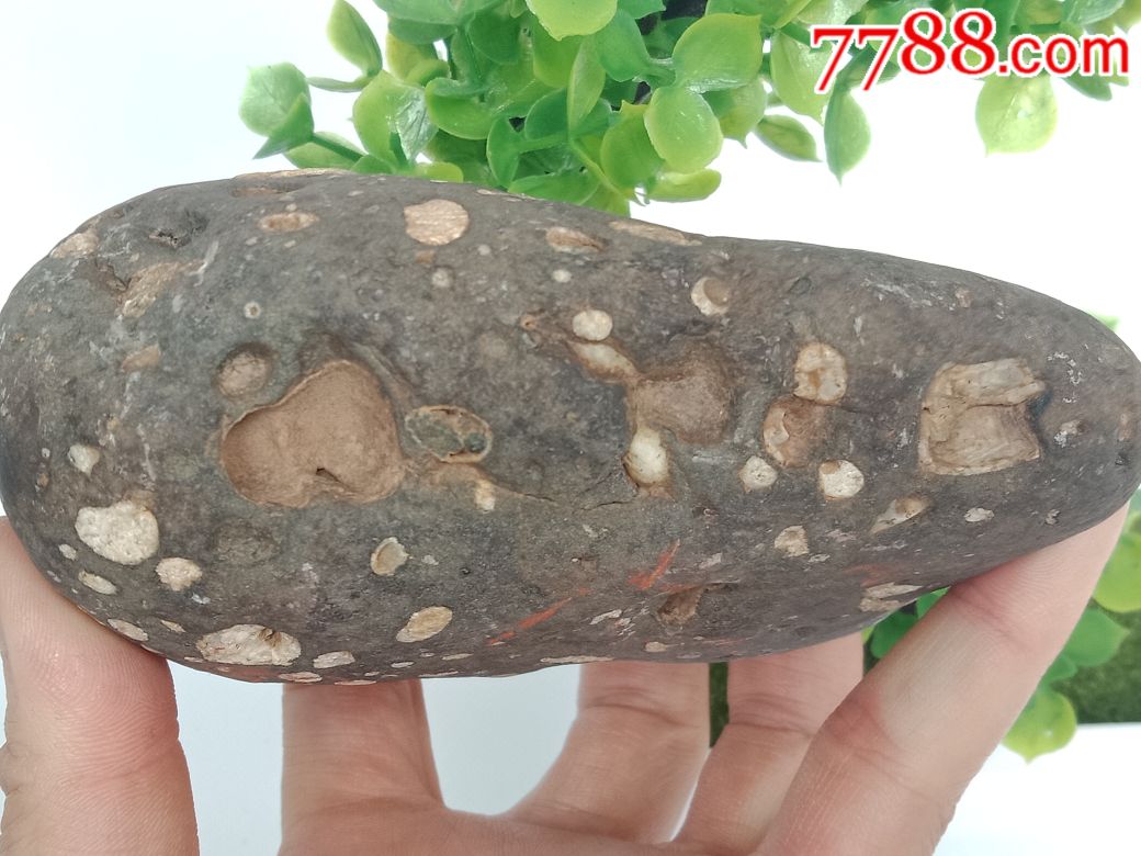 石英陨石(弱磁)