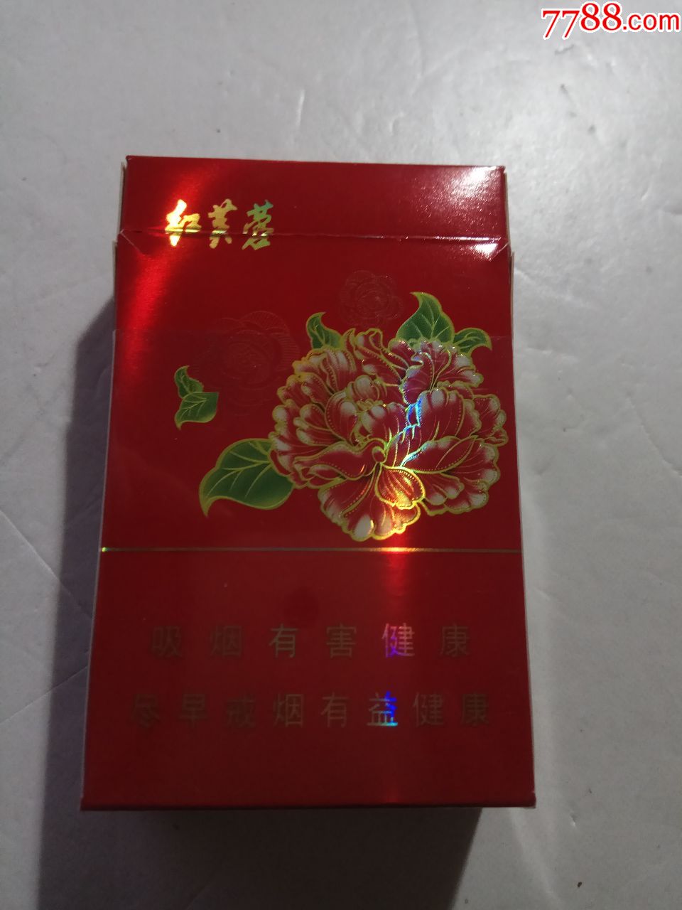 娇子,红芙蓉