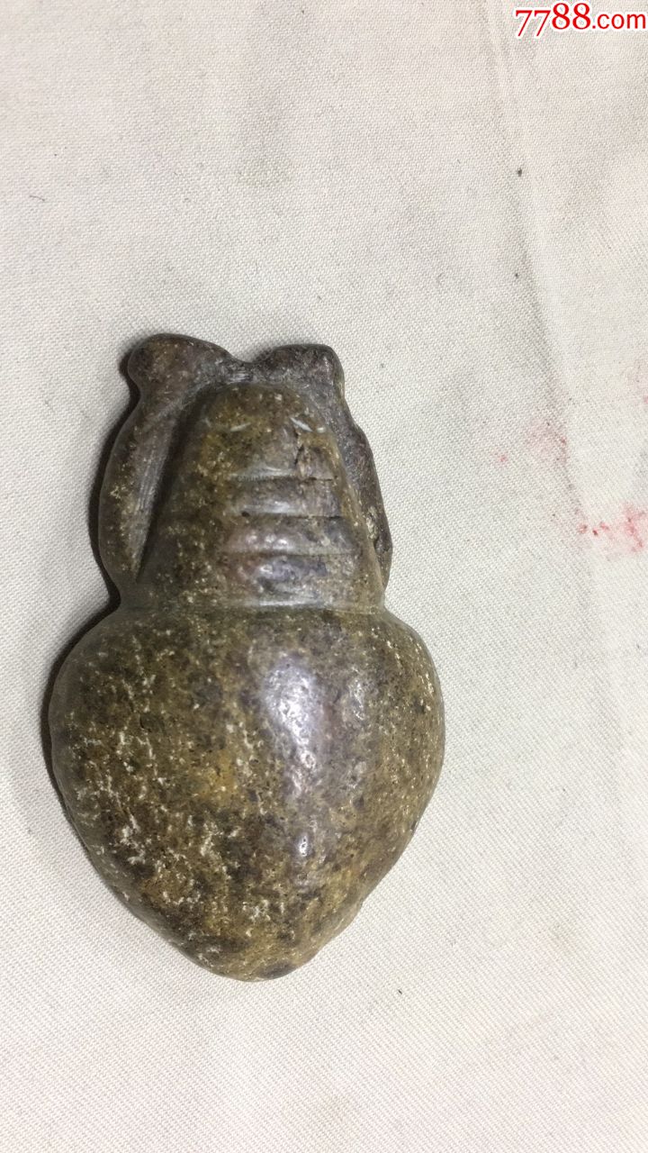 老石蝉